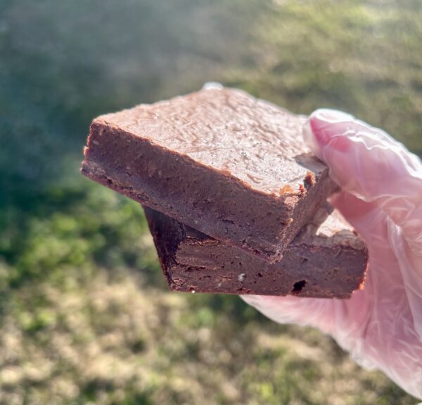 Classic Brownie